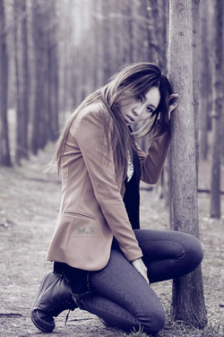 特级西西444Www安装界面展示